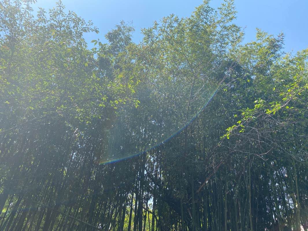 walking near me in 낙동강 하류 철새도래지 in winter