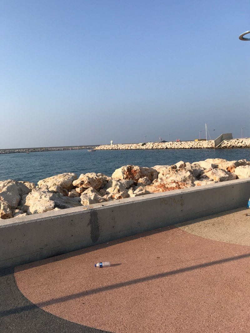 walking near me in Kültür Parkı in winter