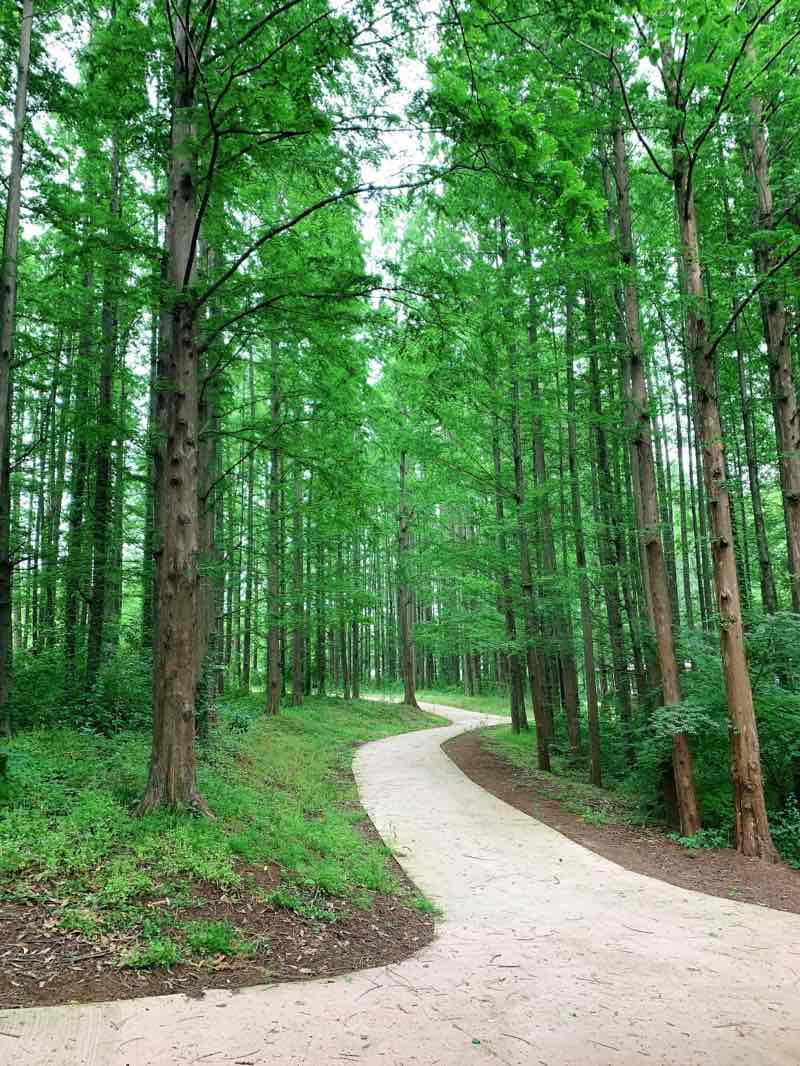 walking near me in 오투그란데 근린공원 in winter