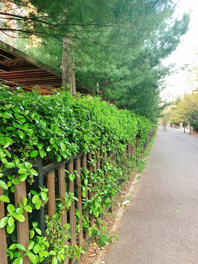 walking near me in 벌말공원 in winter
