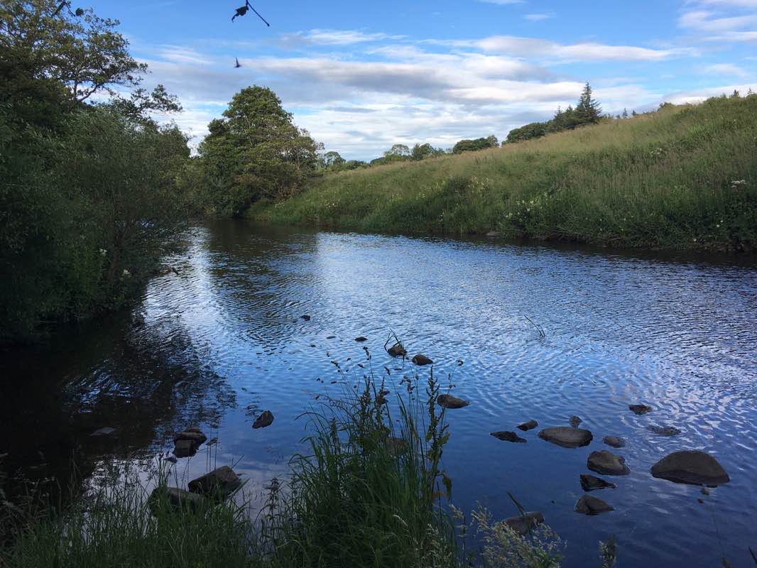 walking near me in Almond Park in winter