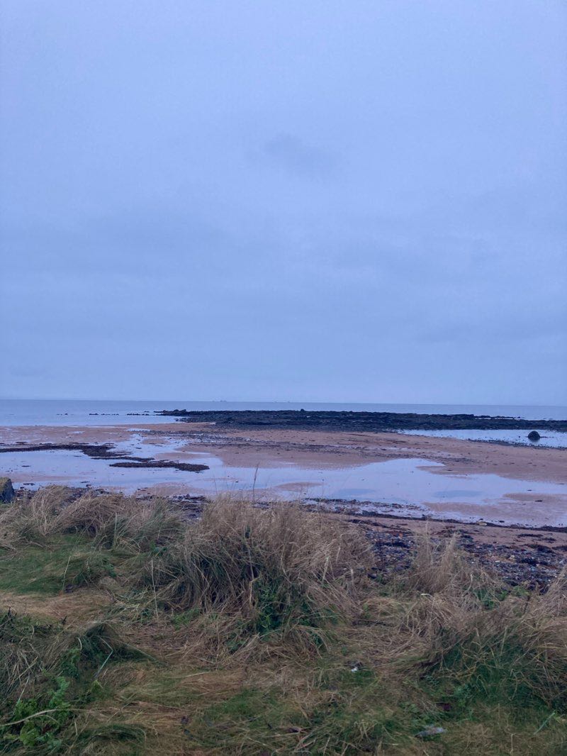 walking near me in The Glen in winter