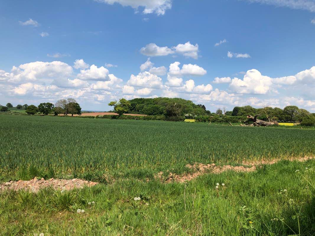 walking near me in Fosseway Heath Nature Reserve and Wetlands in winter