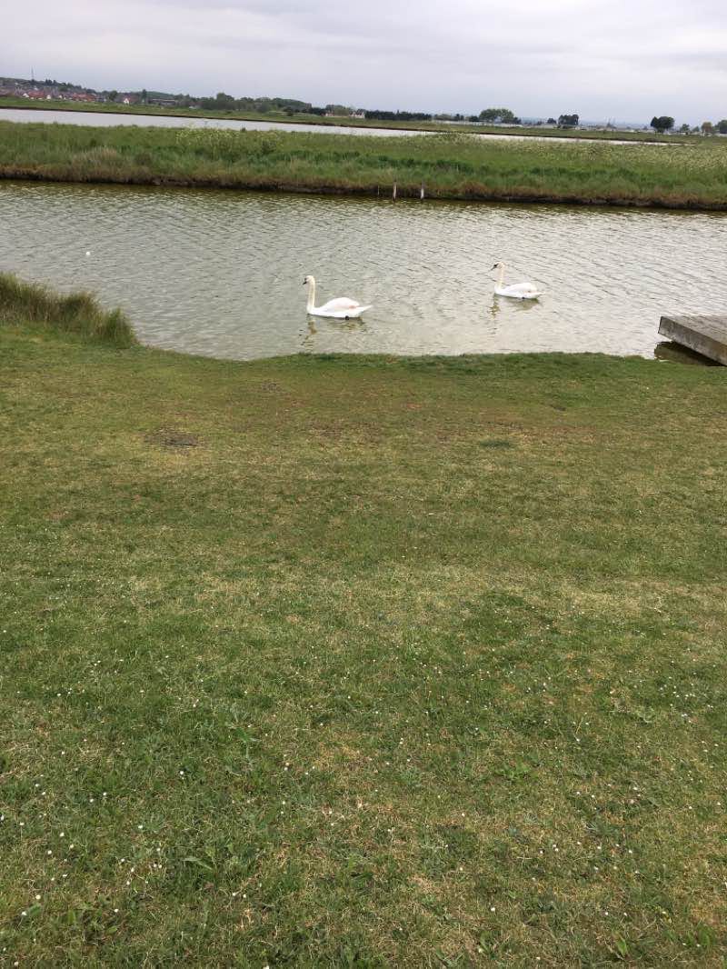 walking near me in Bartons Point Coastal Park in winter