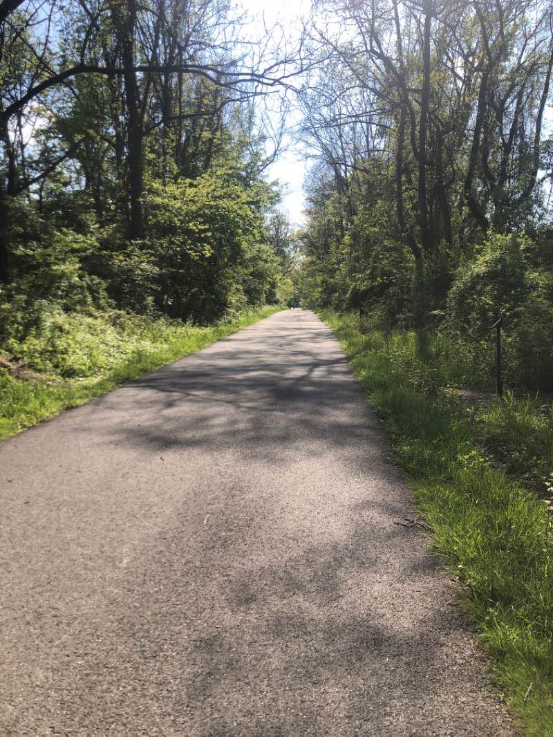 walking near me in Cedar Hollow Road Park in winter