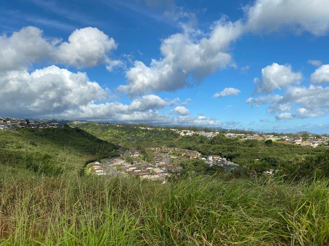 walking near me in Newtown Community Park in winter
