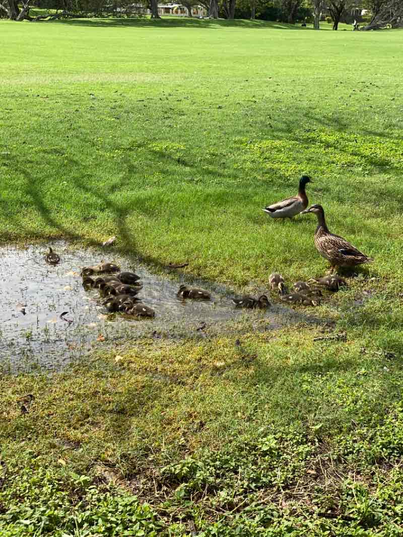 walking near me in Kailua Beach Park in winter