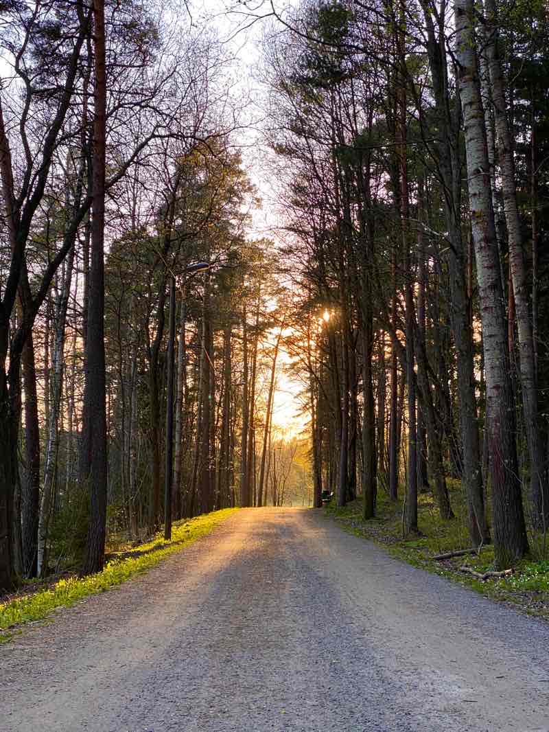 walking near me in Aurajokiranta in winter