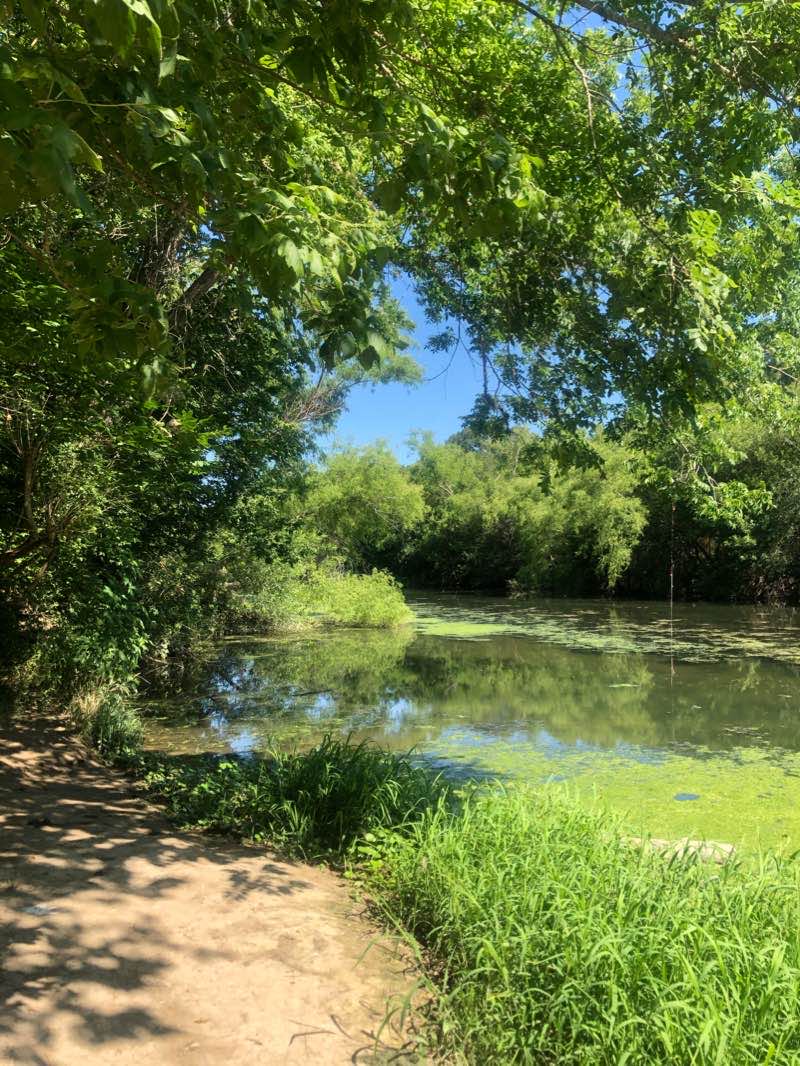 walking near me in Crescent Bend Nature Park in winter