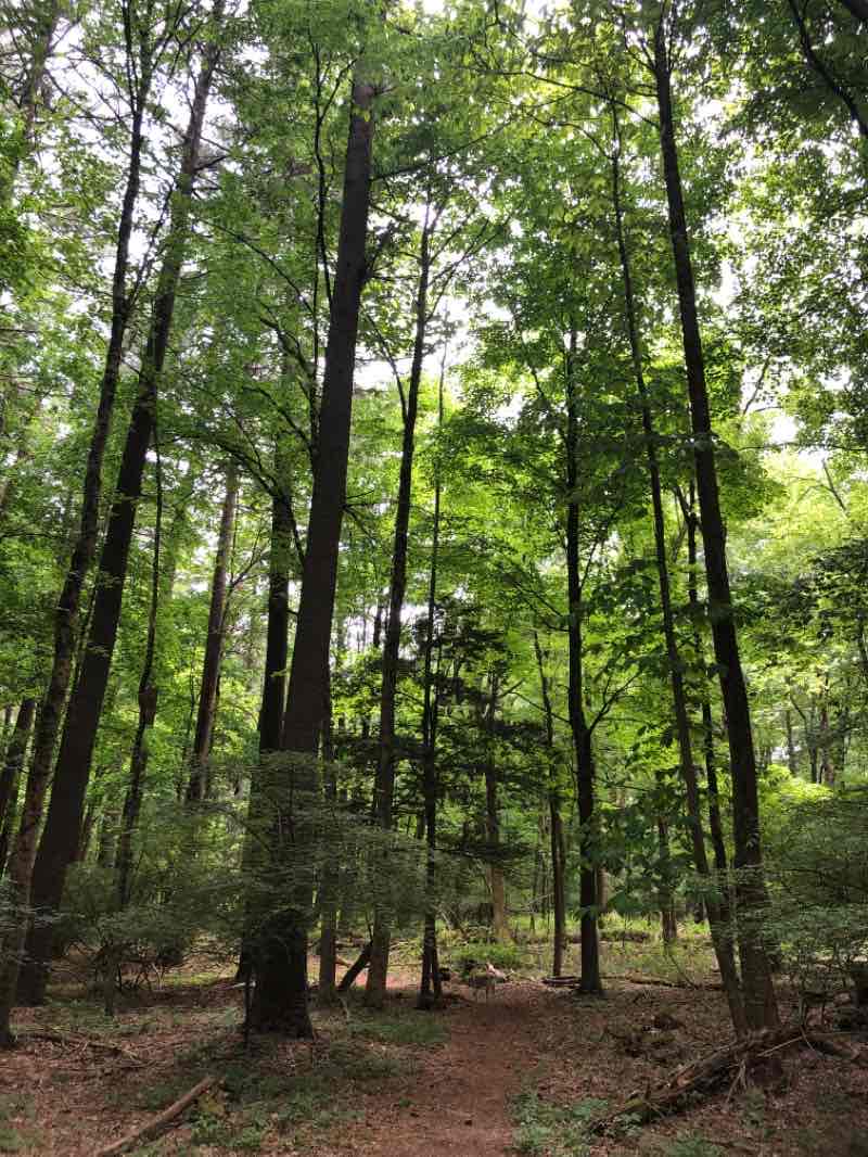 walking near me in Nike Site Park in winter