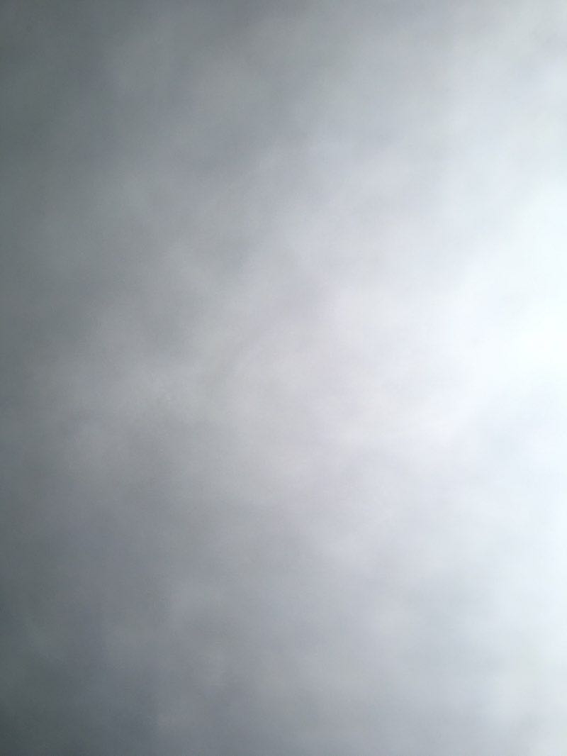 walking near me in Reagan Park in winter