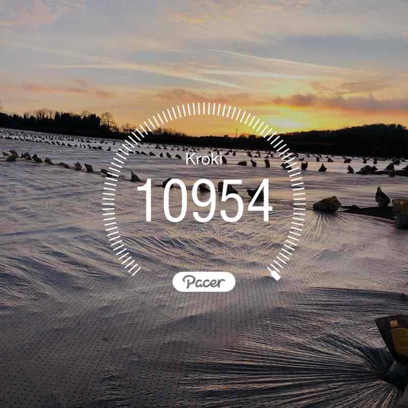 Vinczezka ⚓️🇵🇱🇬🇧 post 1