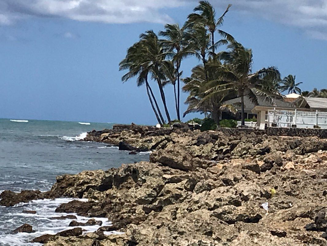 walking near me in Ewa Beach Community Park in winter