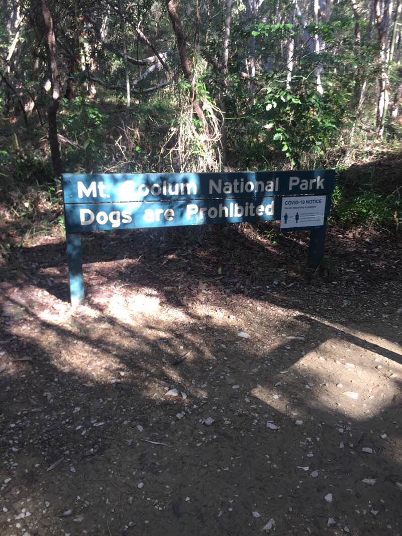 walking near me in Mount Coolum National Park in summer
