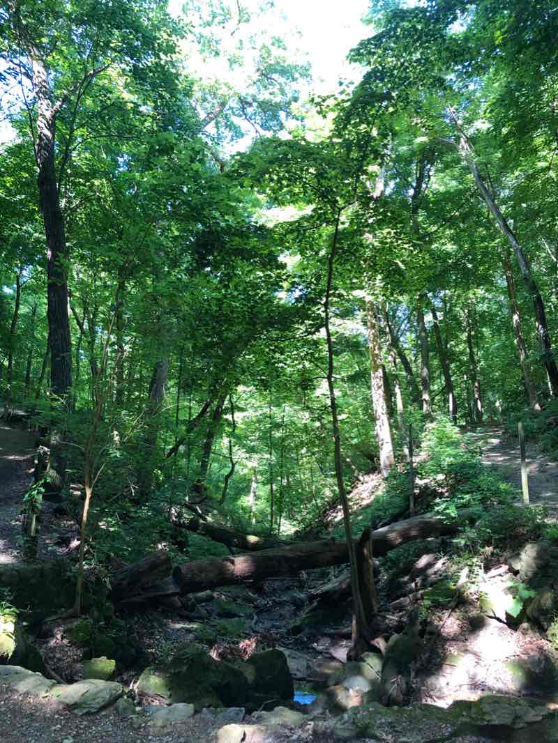 walking near me in Matthiessen State Park in winter