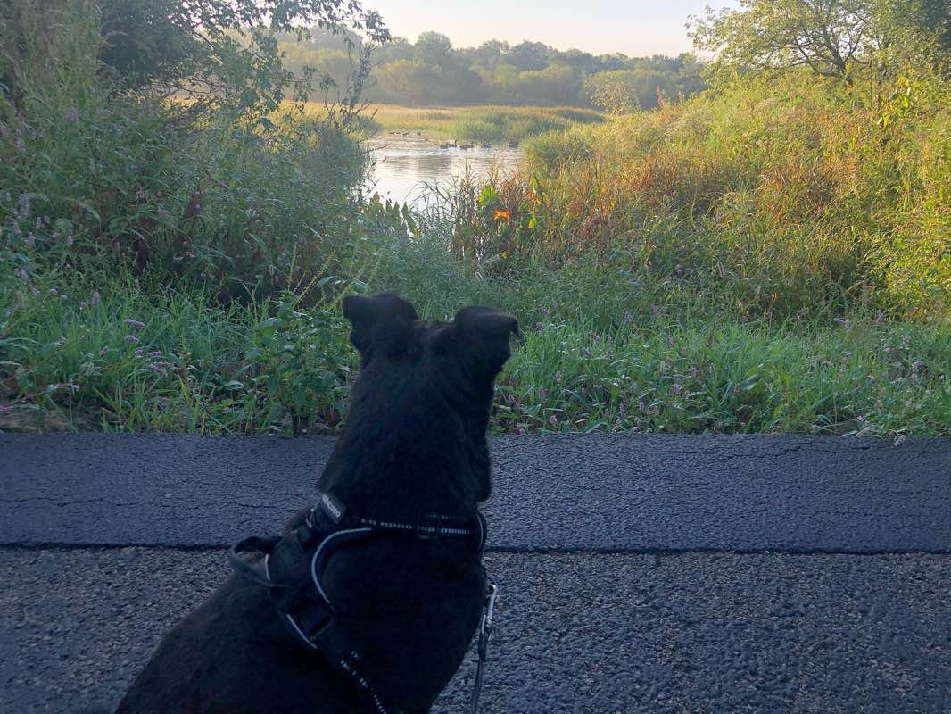 walking near me in Heritage Park in winter