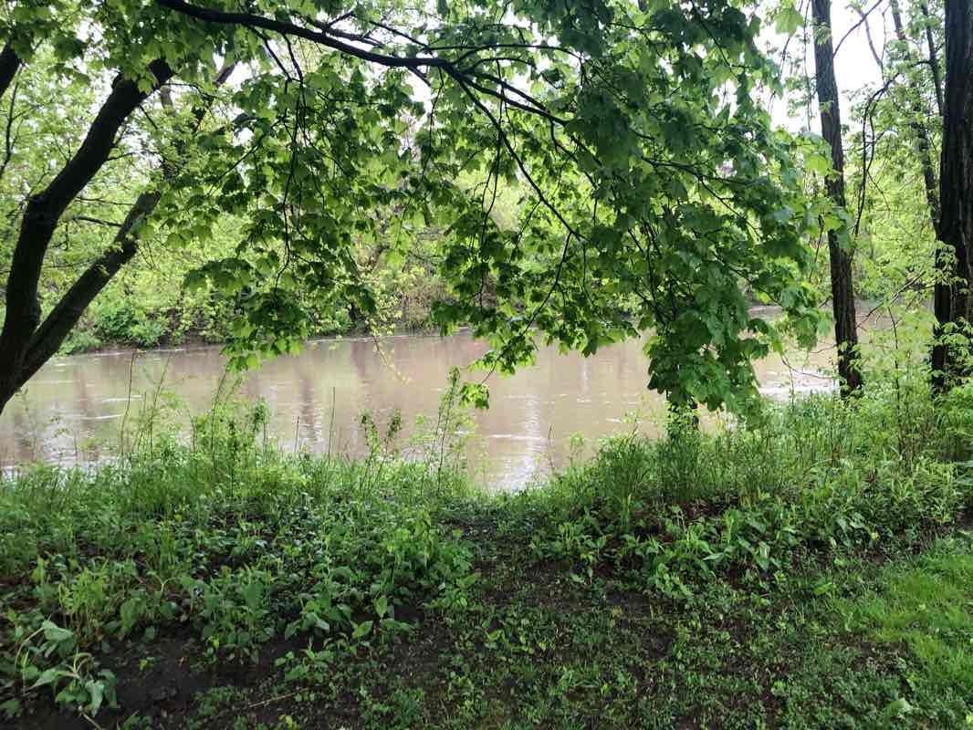 walking near me in Centennial Park in winter