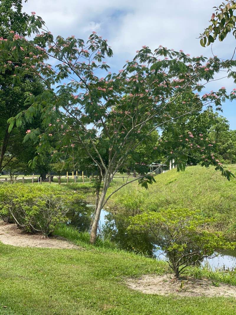 walking near me in Heritage Park in winter