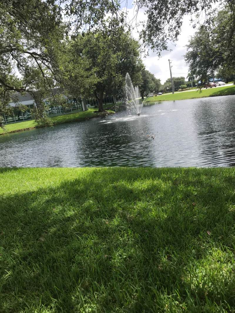 walking near me in George S. Gerber Memorial Park in winter