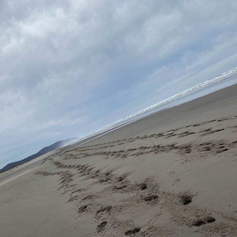 Yelena 💪🏼 post 1