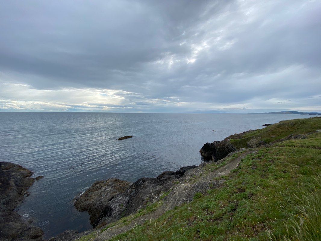 walking near me in Agate Beach County Park in winter