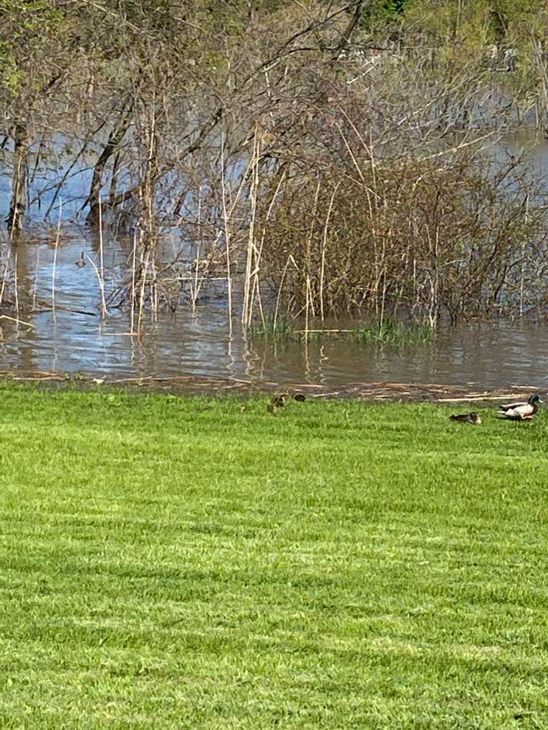 walking near me in Bay City Fitness Park in winter