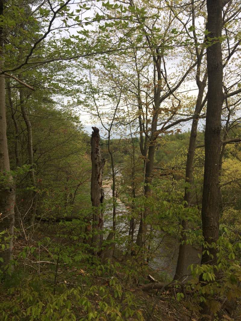 walking near me in Neyagawa Park in winter