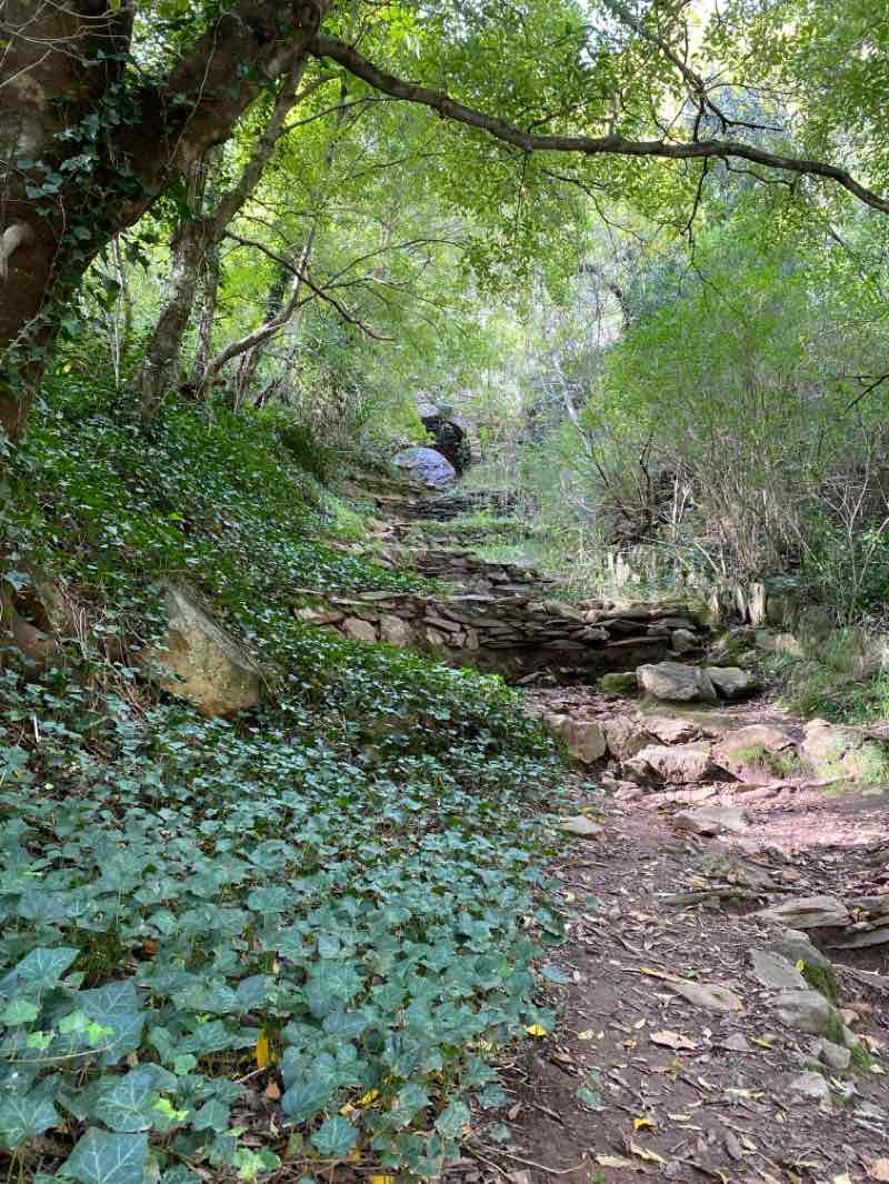 walking near me in Cleland National Park in summer