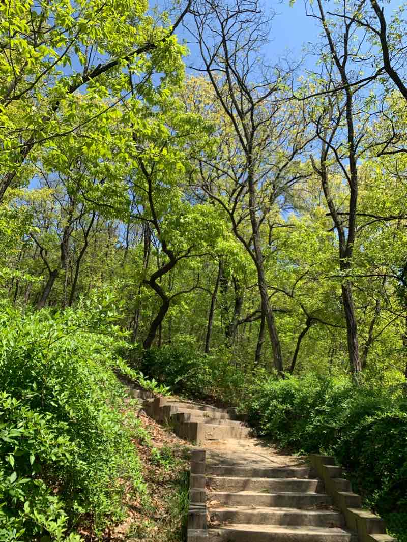 walking near me in 장미공원 in winter