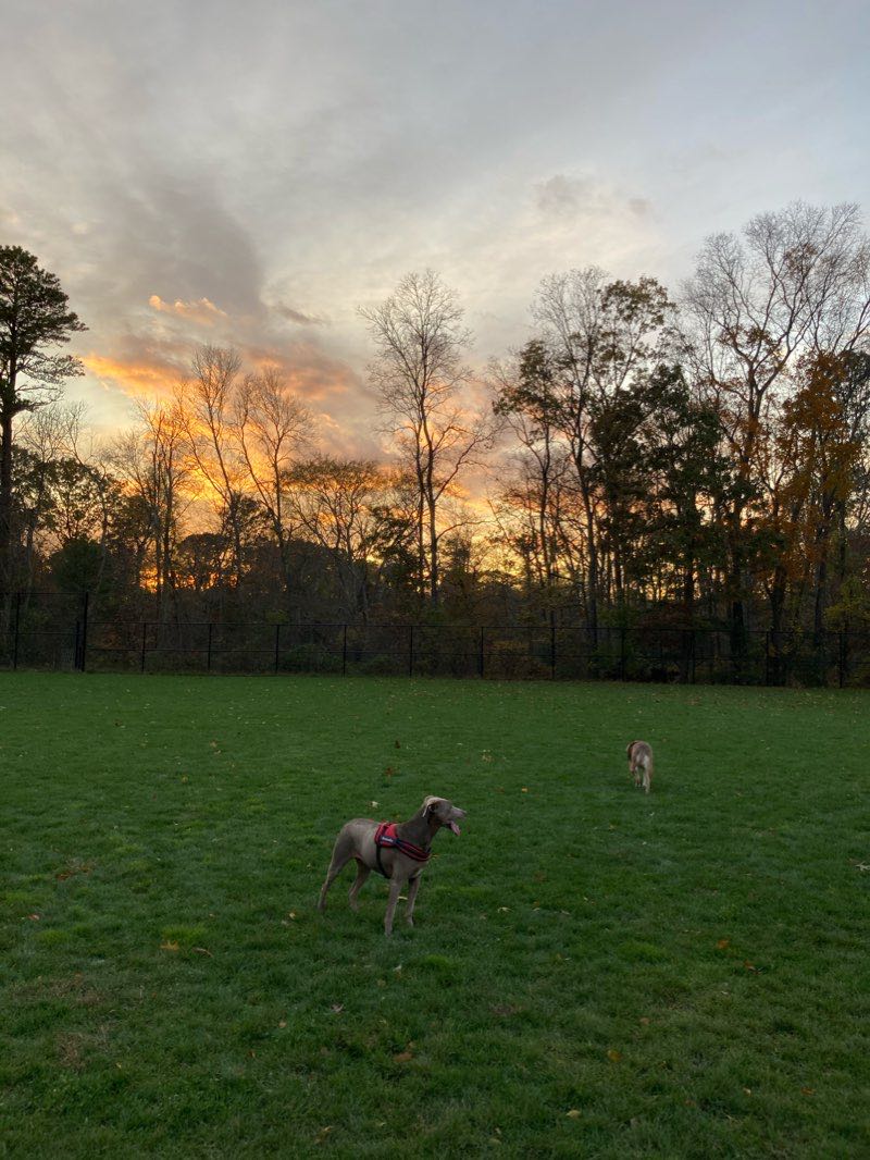 walking near me in Hidden Pond Park in winter