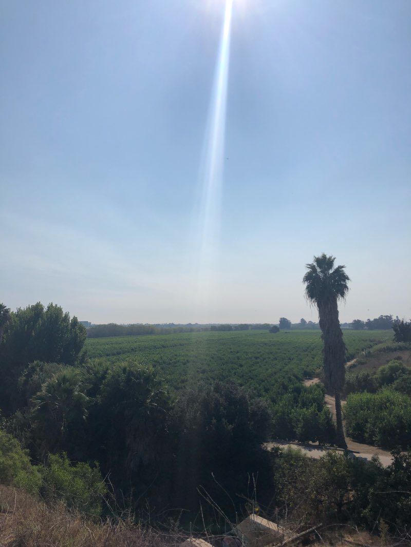 walking near me in Kennebec Linear Park in winter