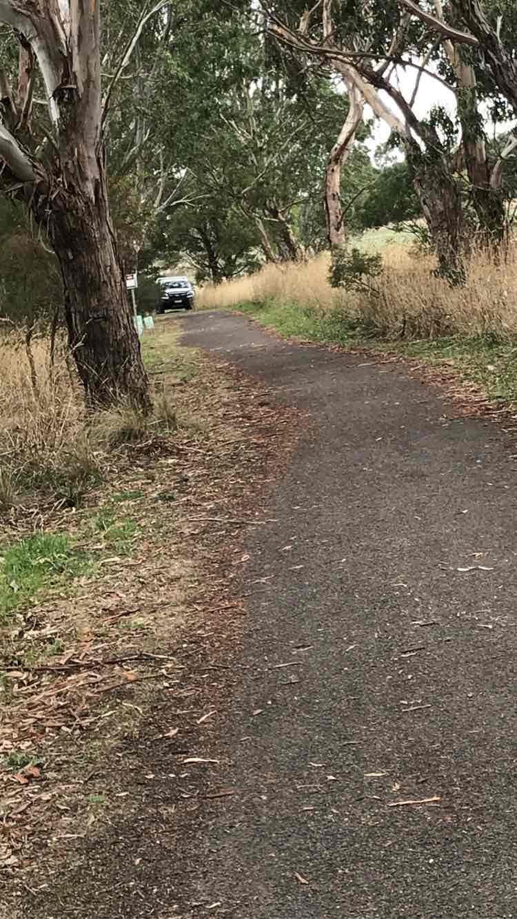 walking near me in Victoria Park in summer