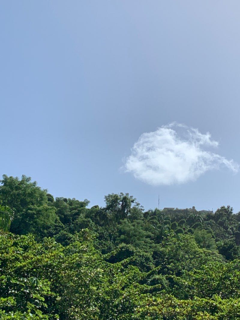 walking near me in Parque Pasivo Pedro E (Piro) Perez Cancio in winter