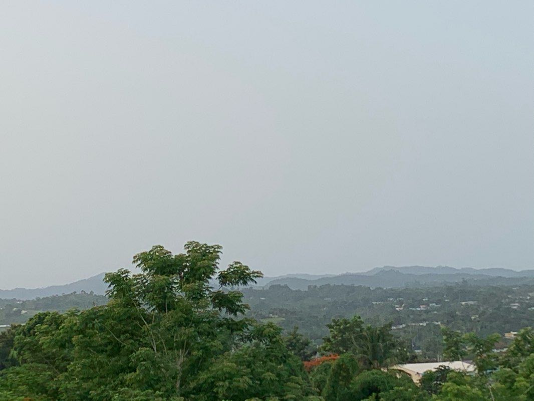 walking near me in Parque Pasivo Rafael Fey Mendez Cabrero in winter