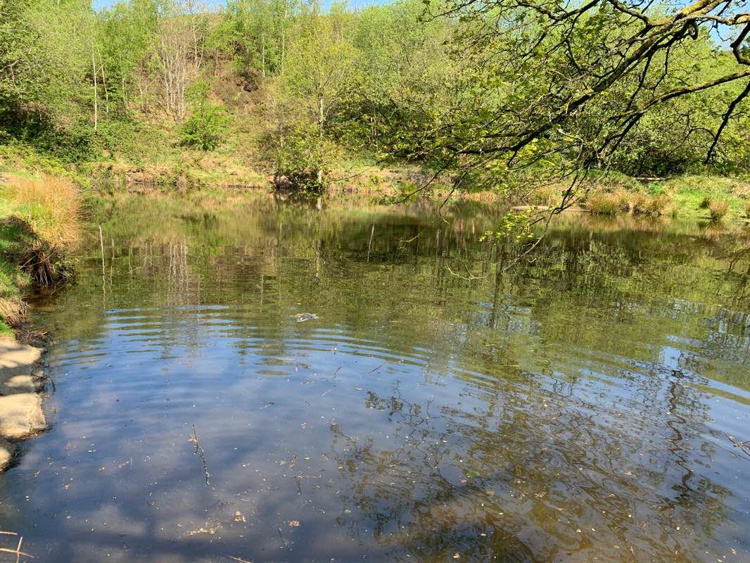walking near me in Dunwood Park in winter