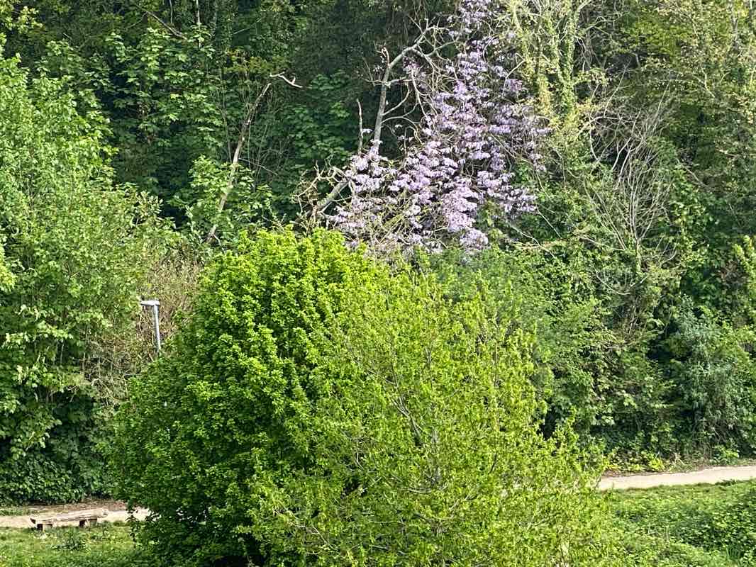 walking near me in Efford Valley Wildlife park in winter