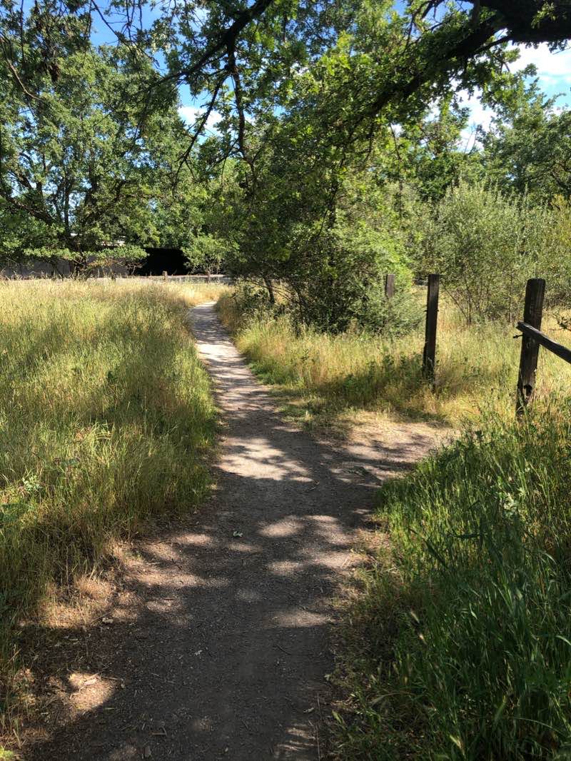 walking near me in Heather Farm Park in winter