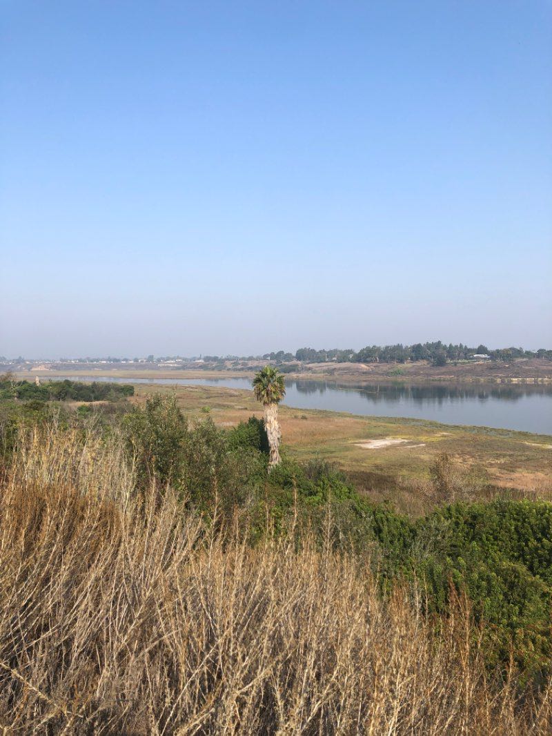 walking near me in Bonita Creek Park in winter