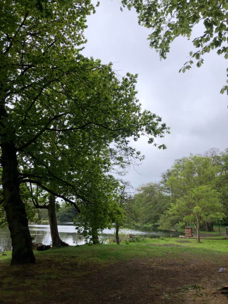 walking near me in Boultham Park in winter