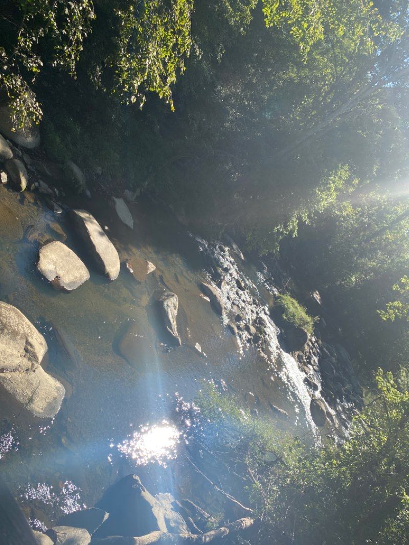 walking near me in Collins Property in winter