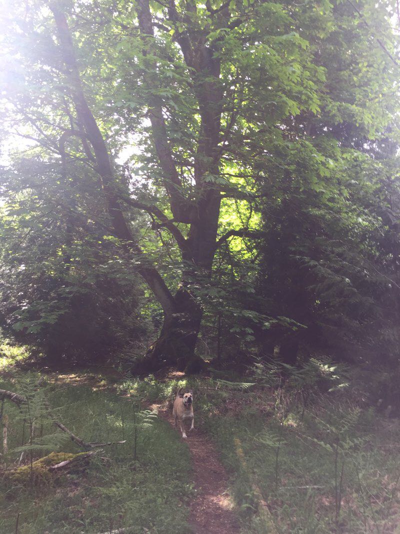 walking near me in 707 Community Park in winter