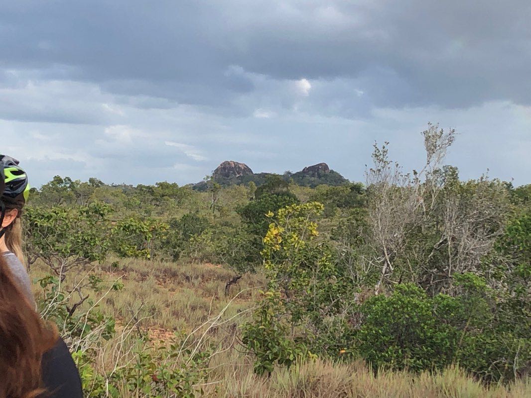 walking near me in Parque Leonardo Ruíz Pineda in winter