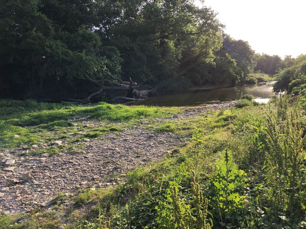 walking near me in Hico City Park in winter