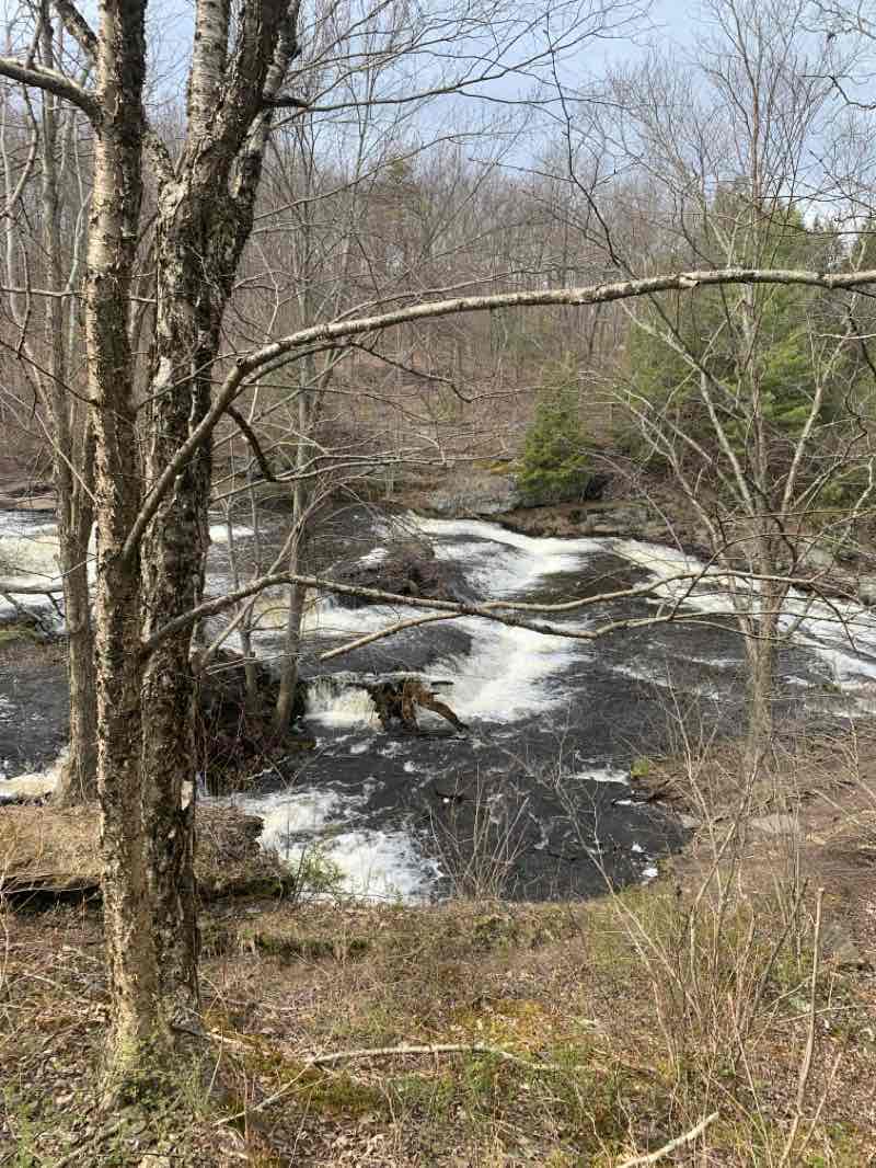 walking near me in State Game Lands Number 180 in winter