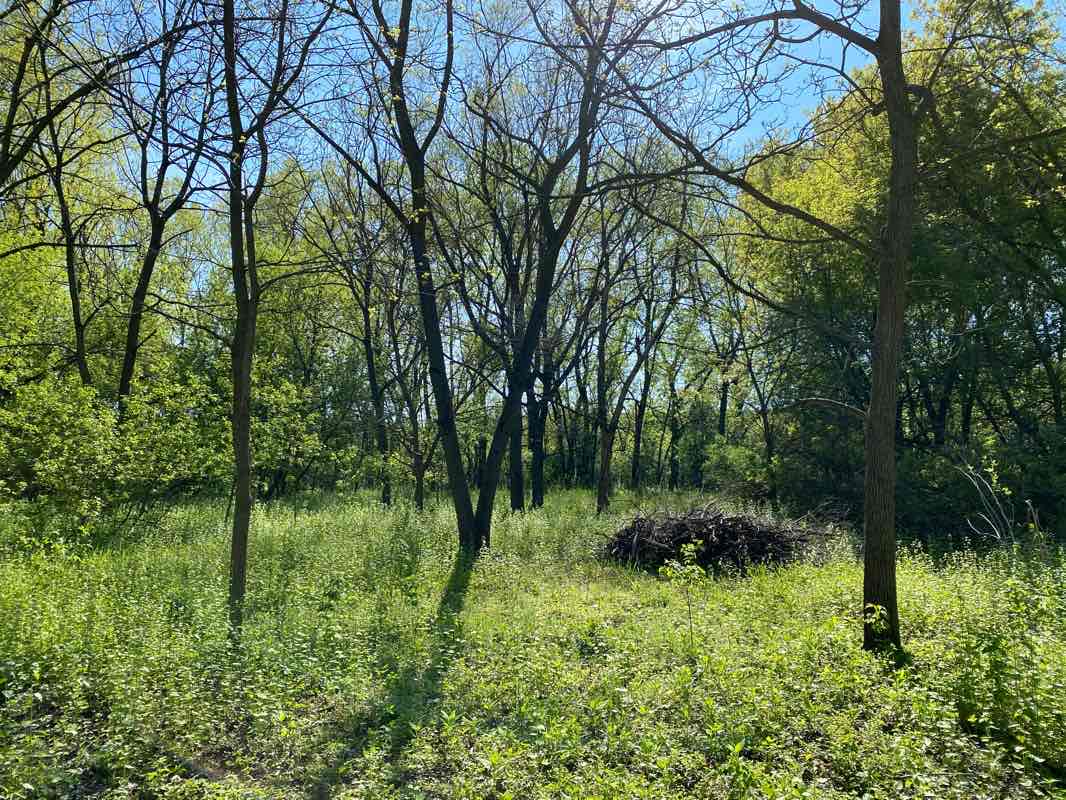 walking near me in Ontario Park in winter