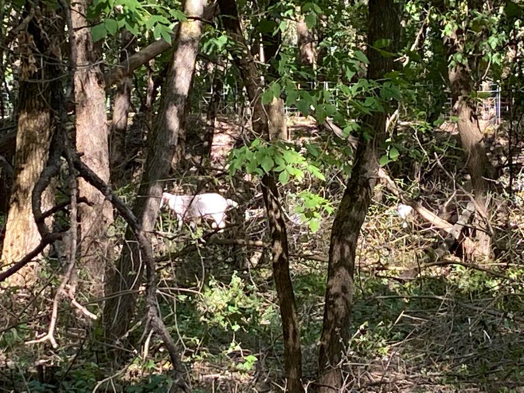 walking near me in Yahara River Parkway in winter