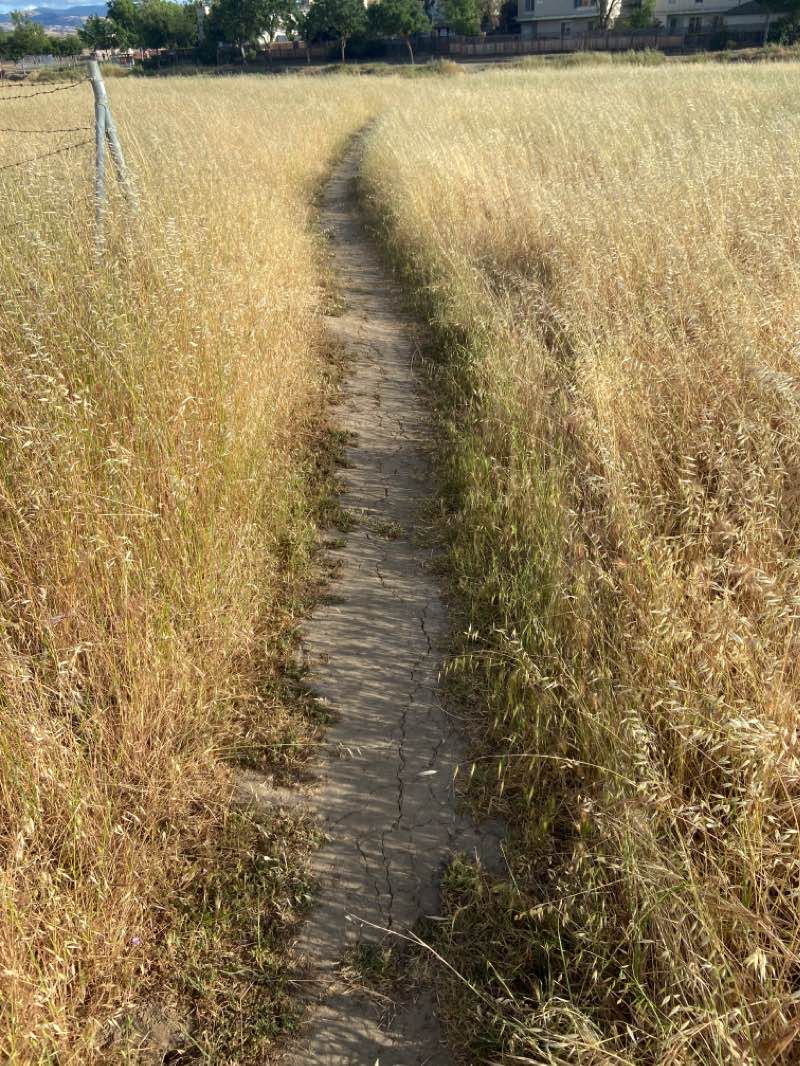 walking near me in Altamont Creek Park in winter