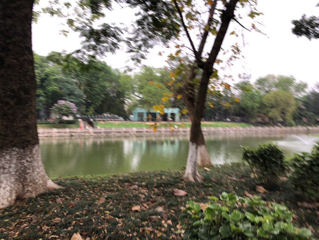 walking near me in Đảo Khỉ in winter