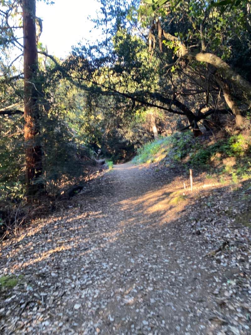 walking near me in Green Belt Park in winter