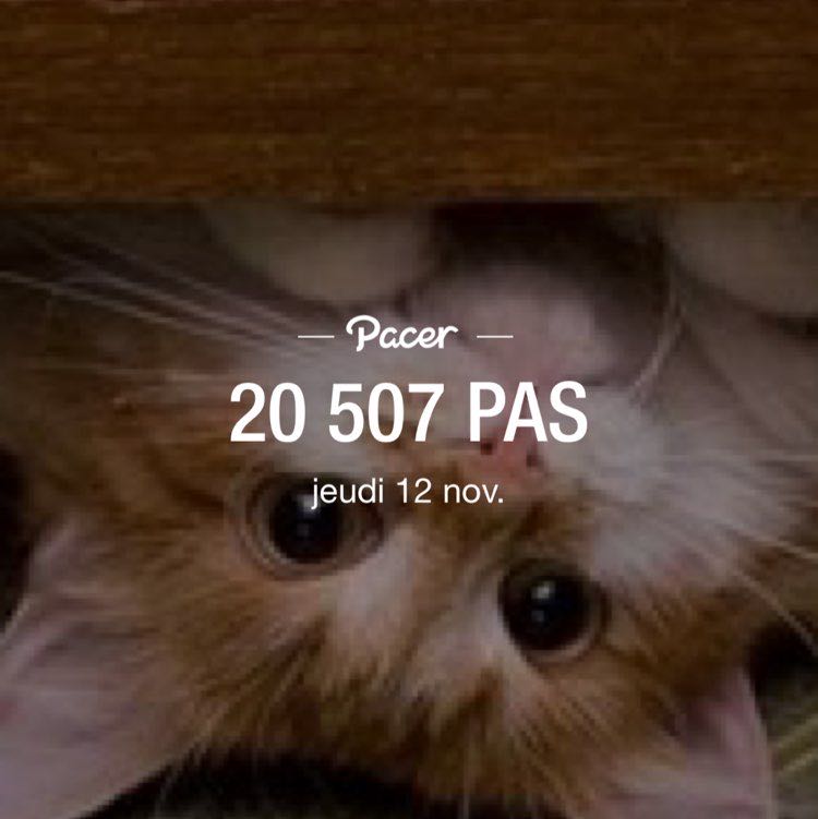 🏴‍☠️ Vero 🇨🇦 🚶🏼‍♀️🏃🏼‍♀️🎶 post 1